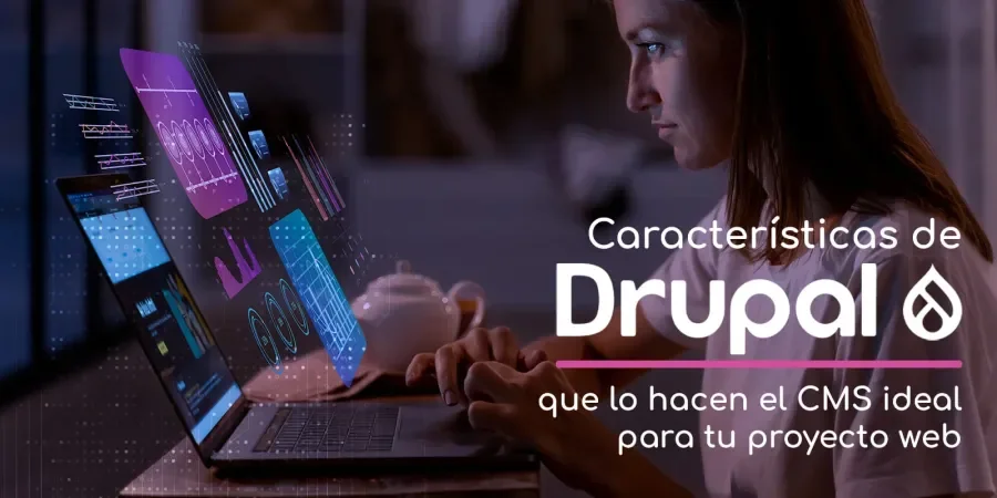 Características de Drupal que lo hacen el CMS ideal para tu proyecto web